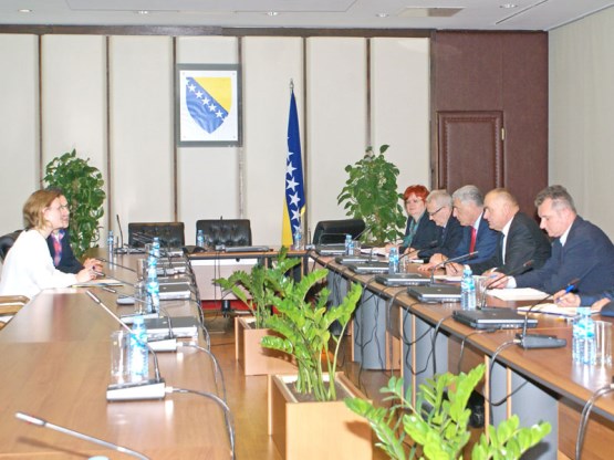 Članovi Zajedničke komisije za ljudska prava Parlamentarne skupštine BiH razgovarali sa poslanicom Evropskog parlamenta